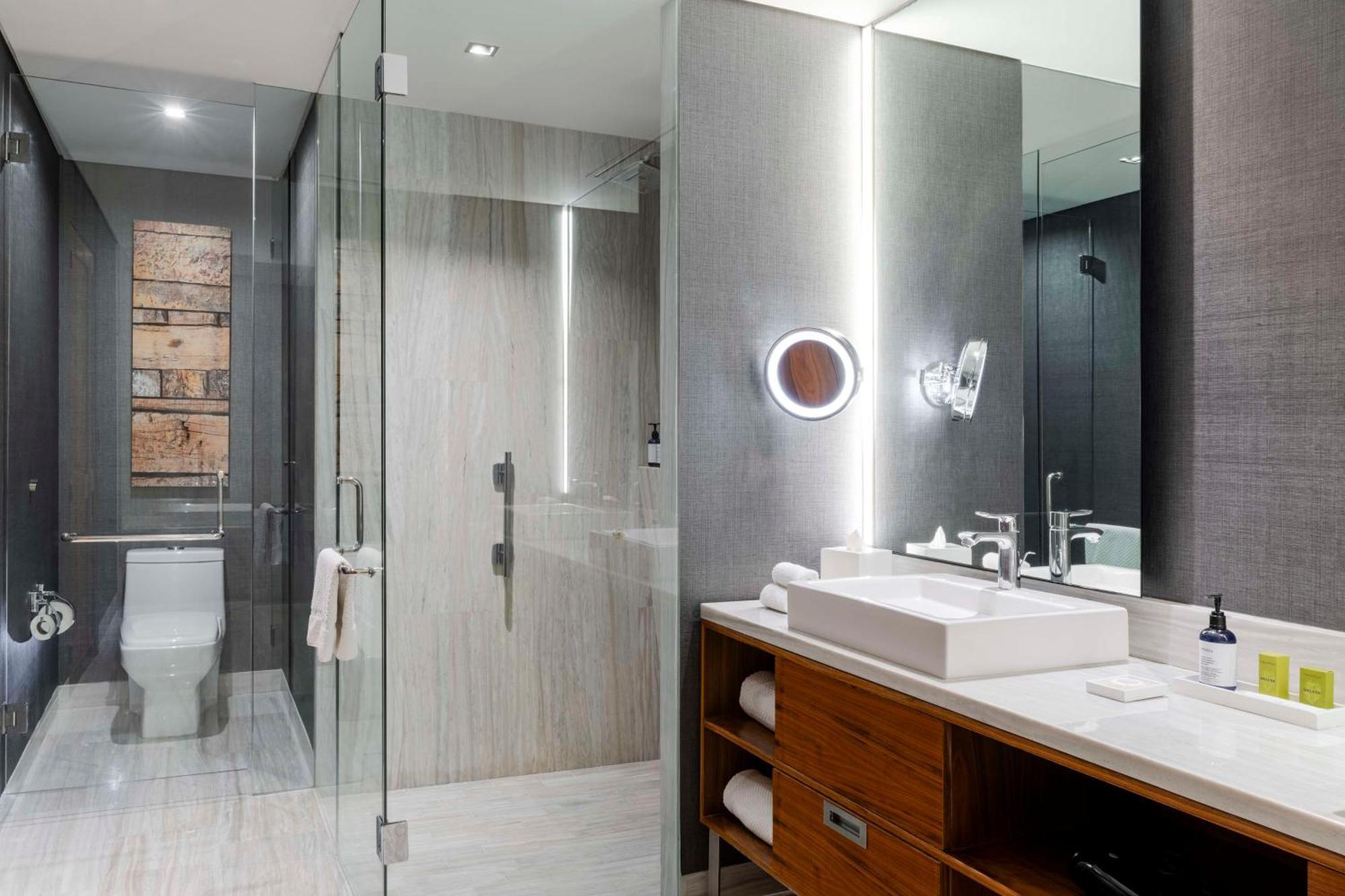 One-Bedroom King Suite